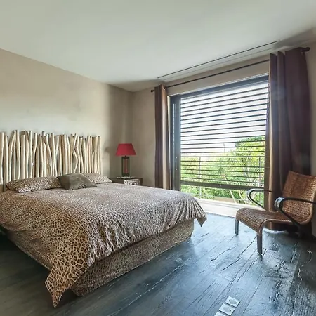 In Juan-les-pins With Heated Pool Vila Antibes